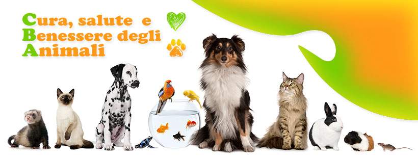 copertina facebook cba pet