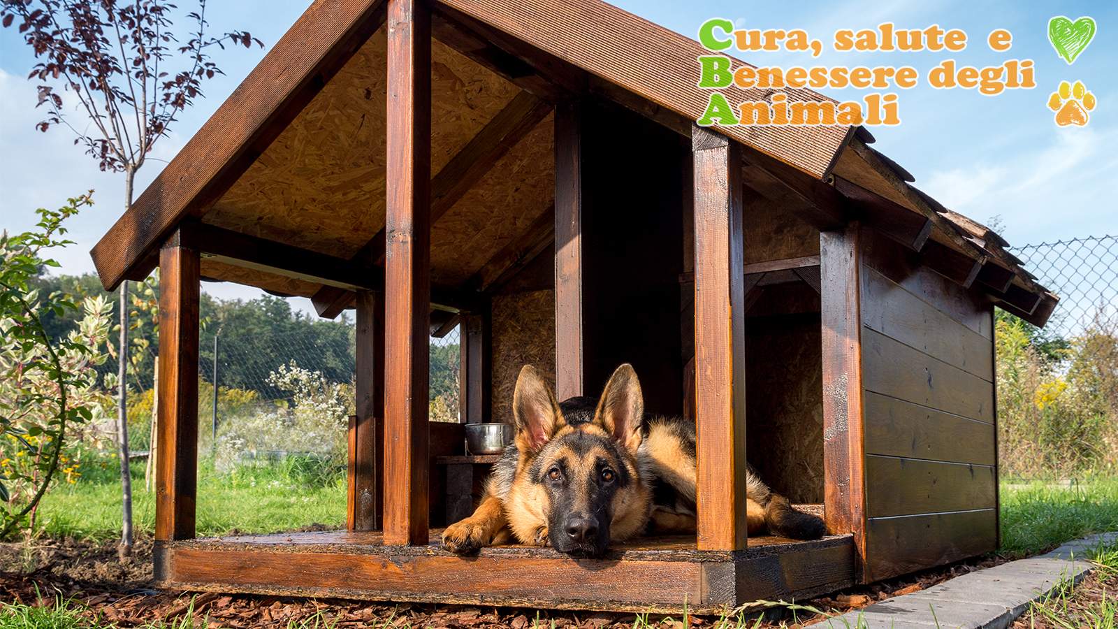 cucce per cani da esterno coibentate legno plastica dimensioni